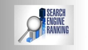 Search Engine ranking